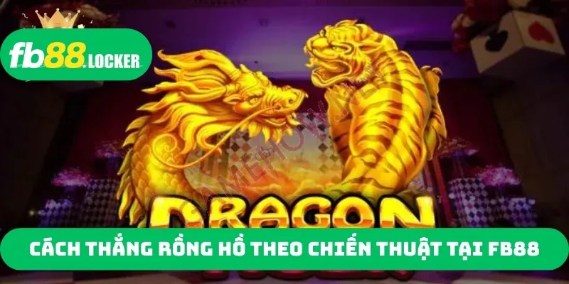 Cách thắng rồng hồ theo chiến thuật tại FB88